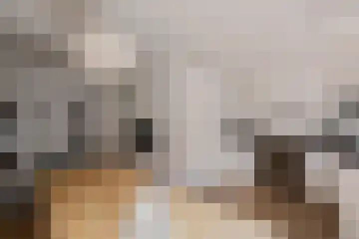 Javastraat 16 2 Amsterdam thumbnail 11