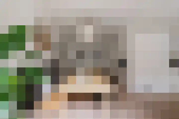 Javastraat 16 2 Amsterdam thumbnail 12