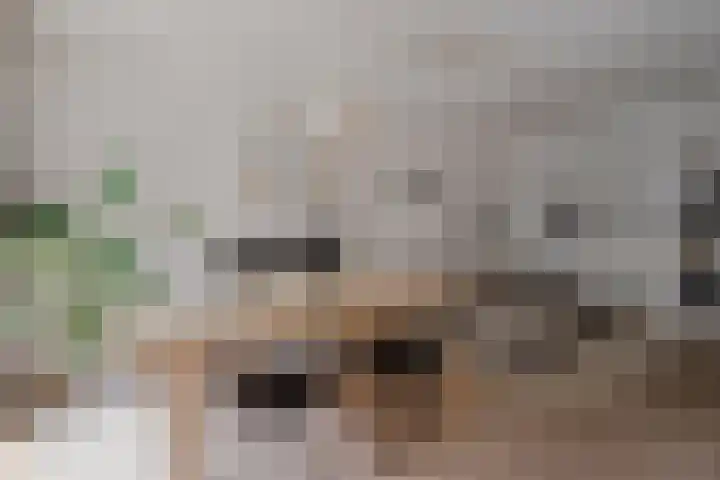 Javastraat 16 2 Amsterdam thumbnail 13