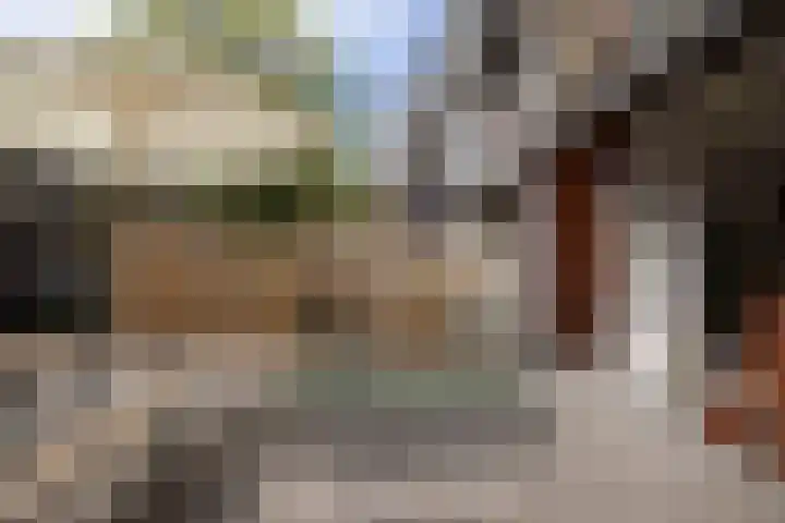 Javastraat 16 2 Amsterdam thumbnail 18