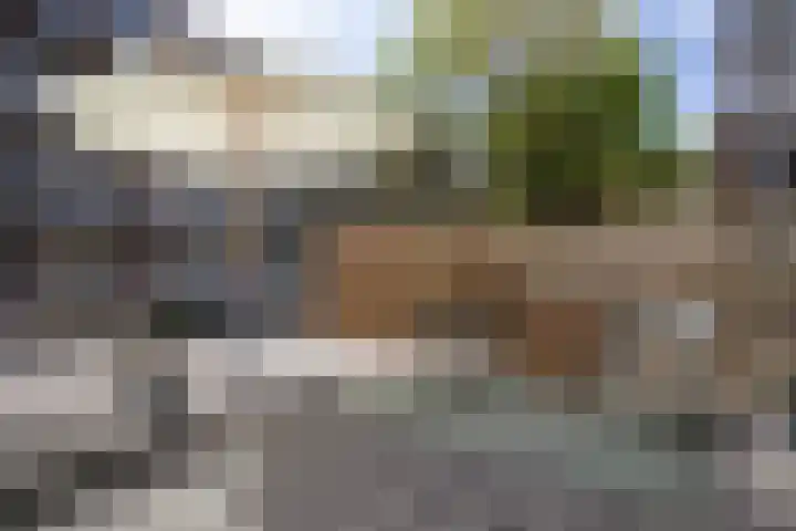Javastraat 16 2 Amsterdam thumbnail 22