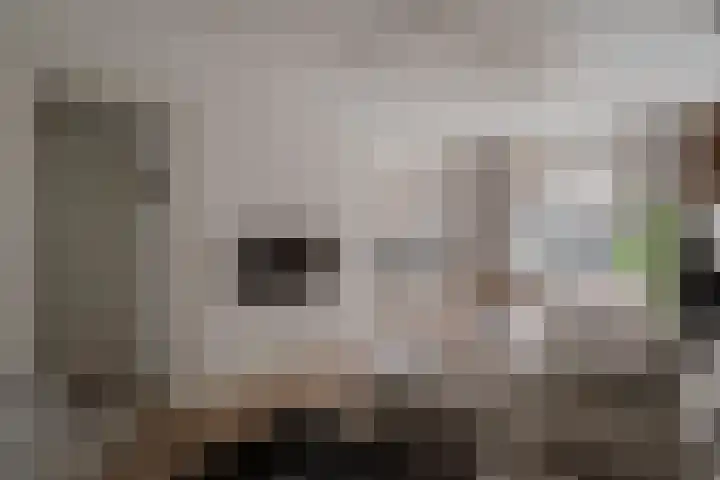 Javastraat 16 2 Amsterdam thumbnail 5