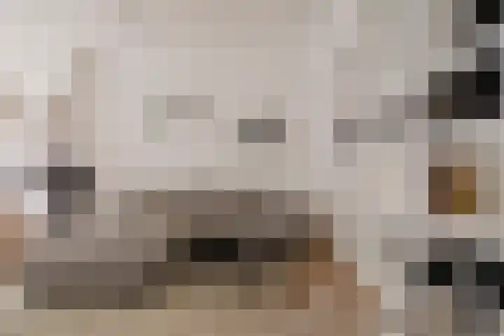 Javastraat 16 2 Amsterdam thumbnail 7