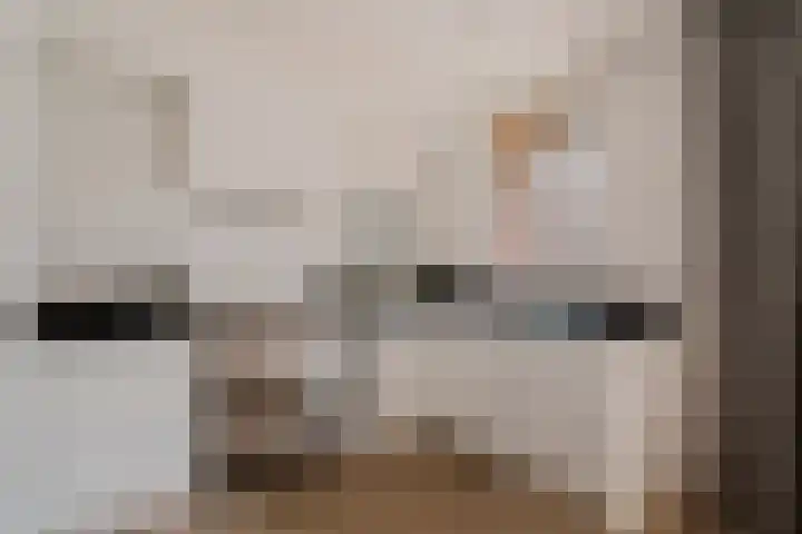 Javastraat 16 2 Amsterdam thumbnail 9