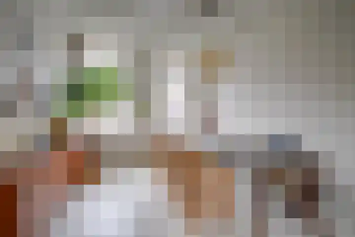 Javastraat 16 BS Utrecht thumbnail 10