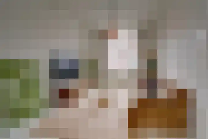 Javastraat 16 BS Utrecht thumbnail 13
