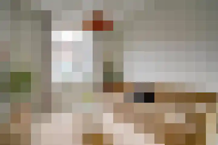 Javastraat 16 BS Utrecht thumbnail 14