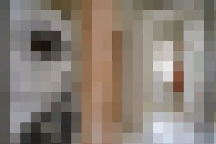Javastraat 16 BS Utrecht thumbnail 24