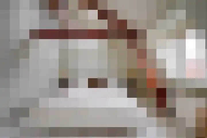Javastraat 16 BS Utrecht thumbnail 28