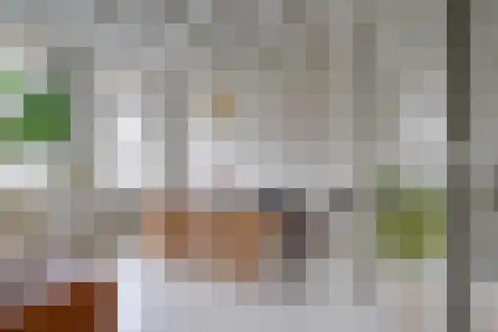 Javastraat 16 BS Utrecht thumbnail 9