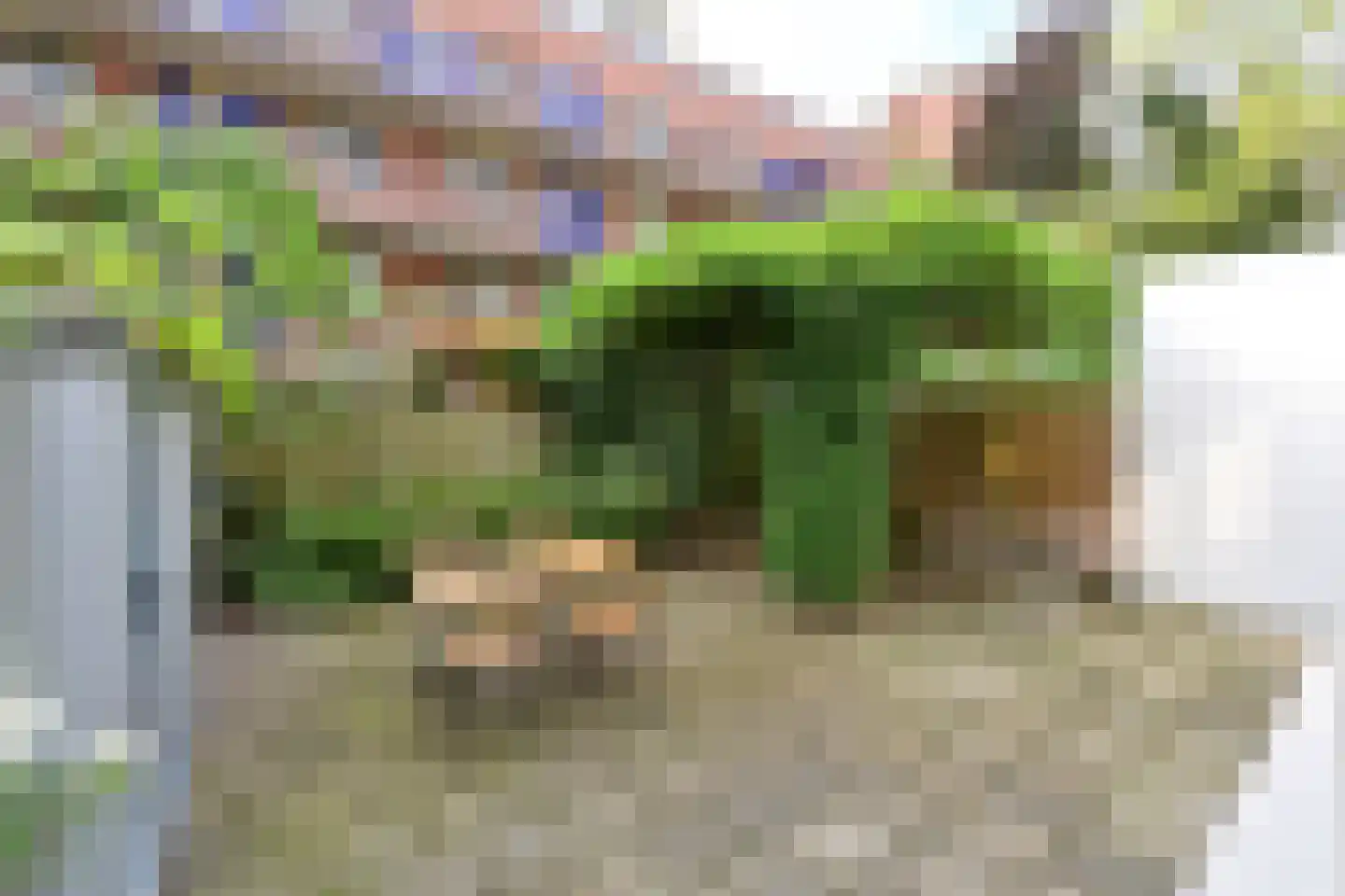 Javastraat 160 Amsterdam thumbnail 22