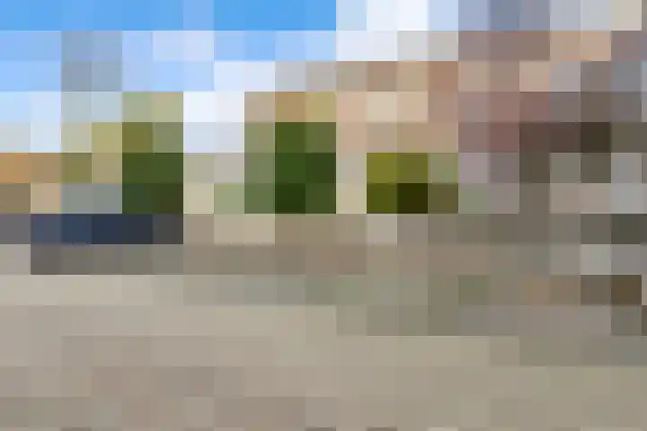 Javastraat 160 's-Hertogenbosch thumbnail 27