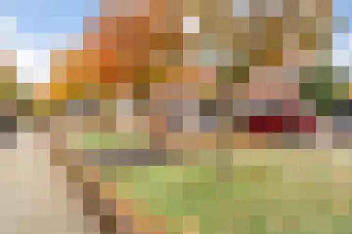 Javastraat 160 's-Hertogenbosch thumbnail 28