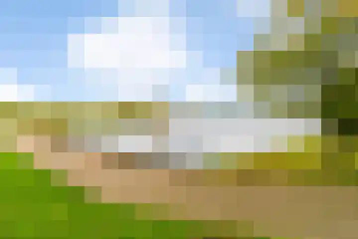 Javastraat 160 's-Hertogenbosch thumbnail 29