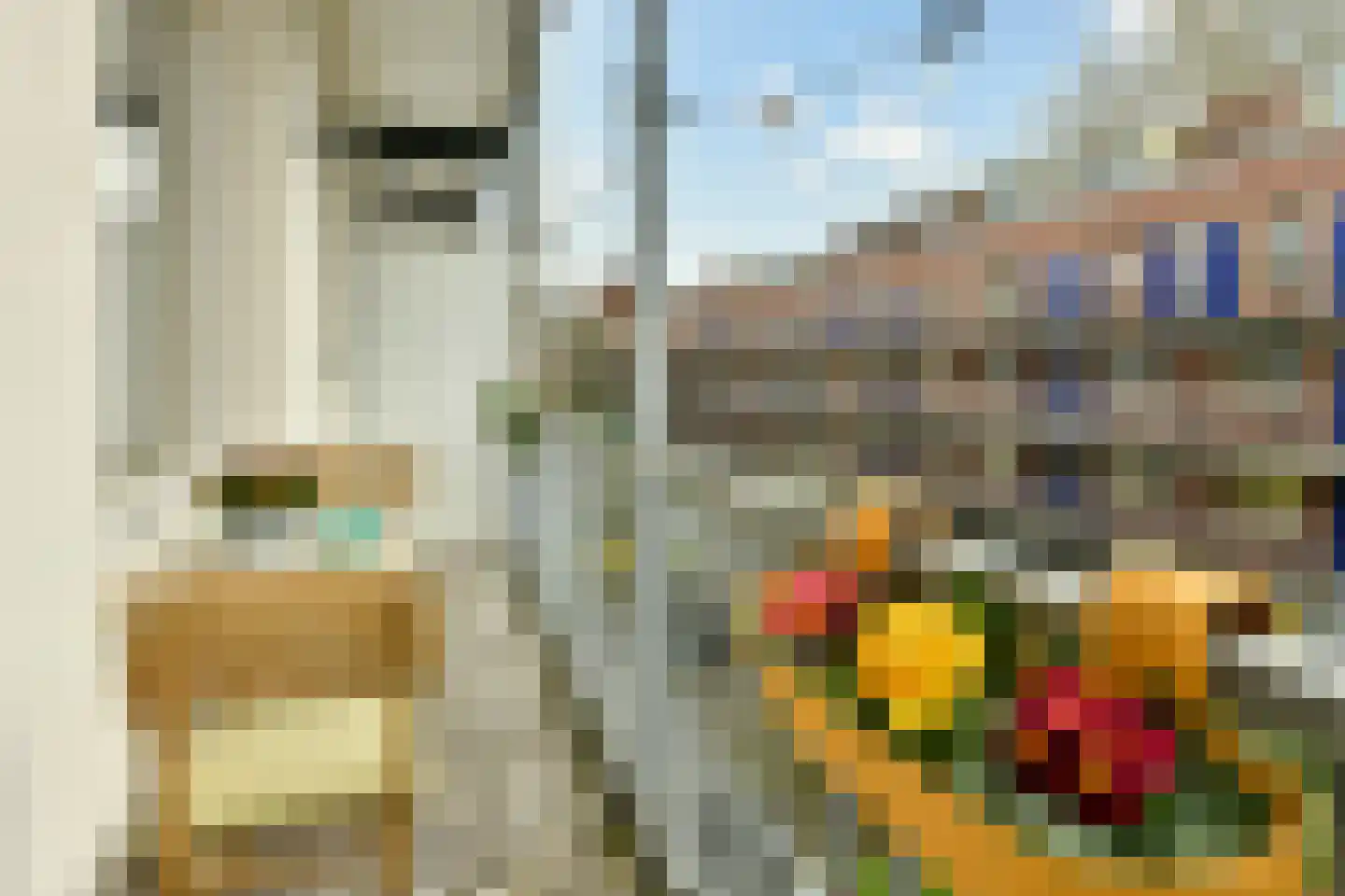 Javastraat 162 3 Amsterdam thumbnail 11
