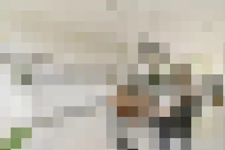 Javastraat 166 H Amsterdam thumbnail 10