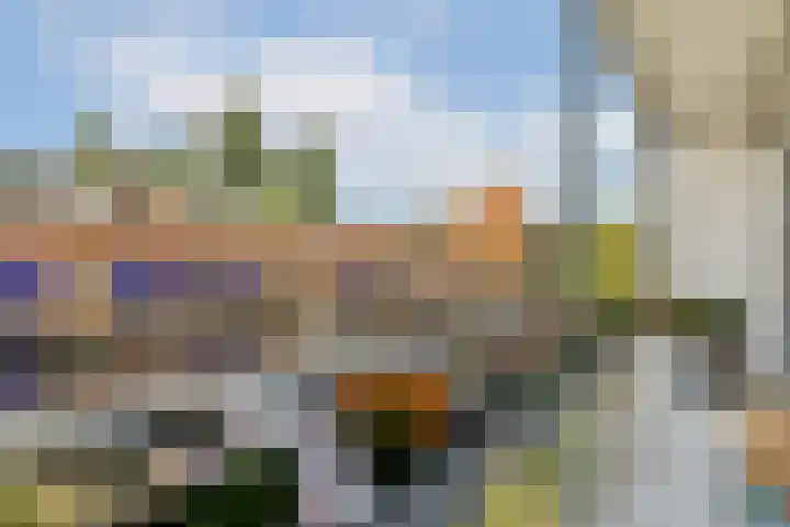 Javastraat 166 H Amsterdam thumbnail 11