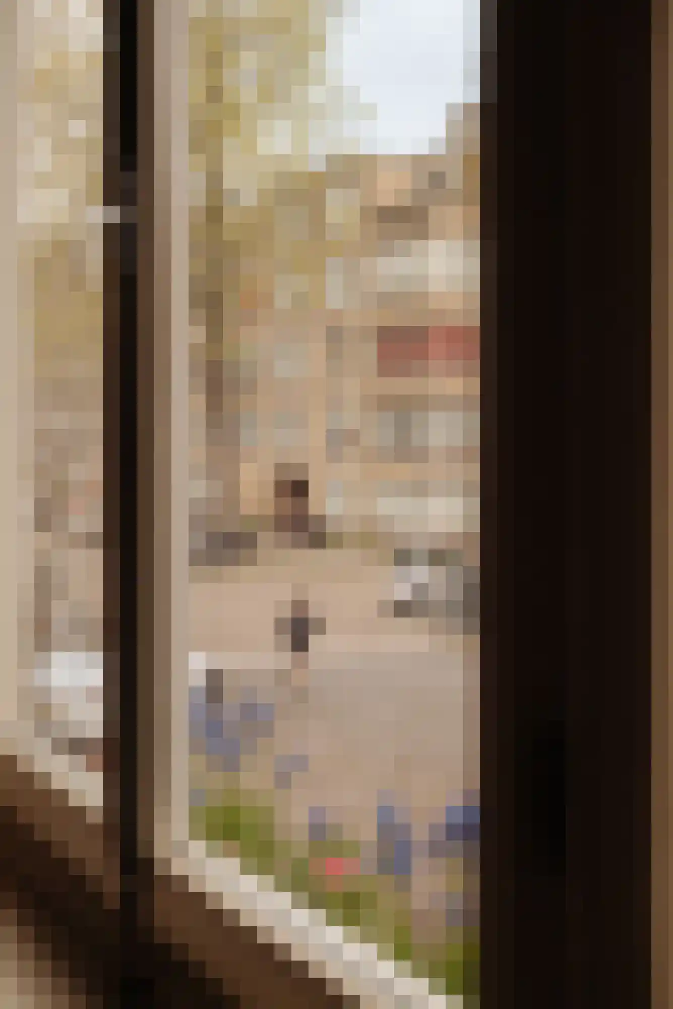 Javastraat 172 3 Amsterdam thumbnail 10