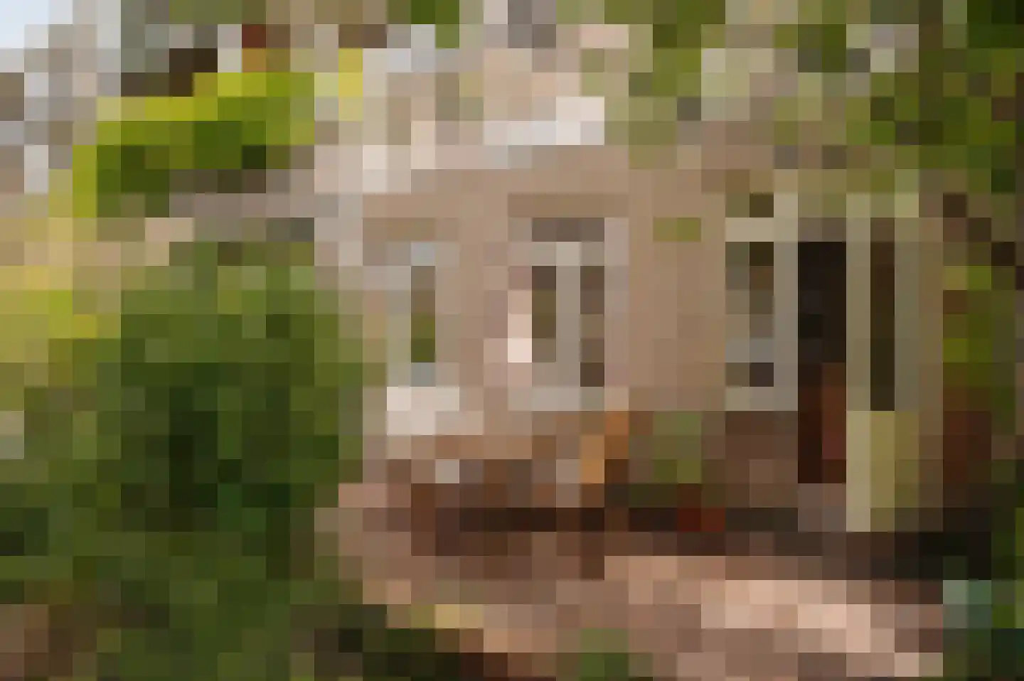 Javastraat 172 3 Amsterdam thumbnail 21