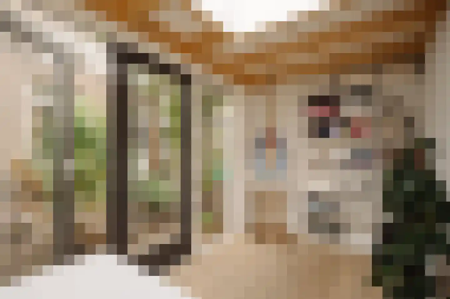 Javastraat 172 3 Amsterdam thumbnail 4