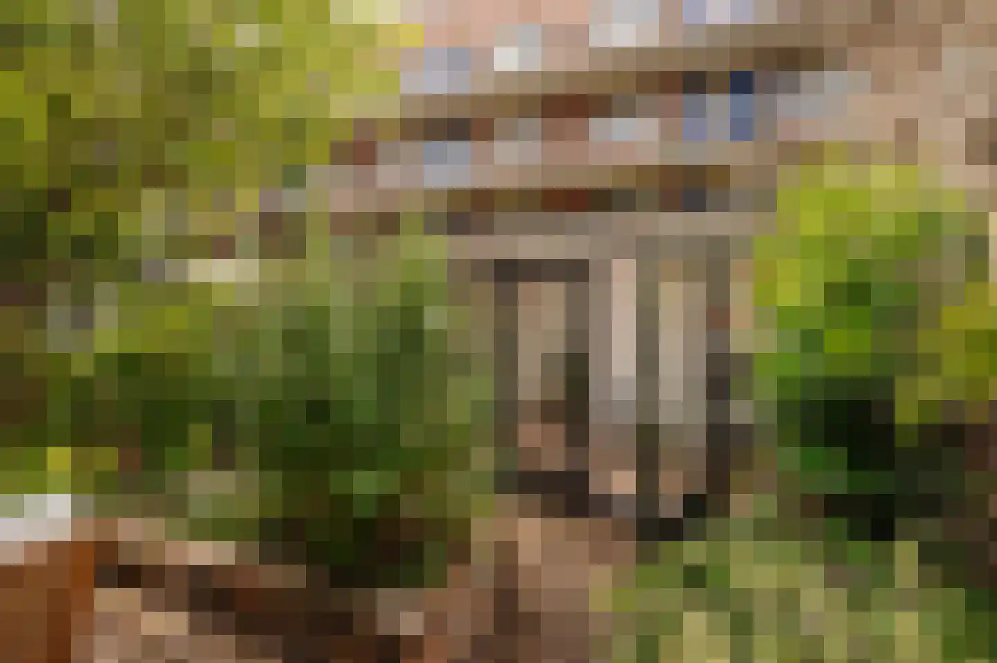 Javastraat 172 H Amsterdam thumbnail 22