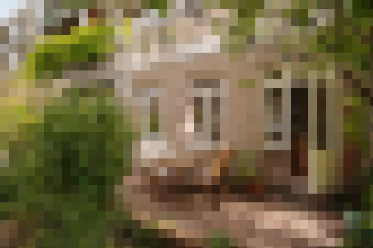 Javastraat 172 H Amsterdam thumbnail 4