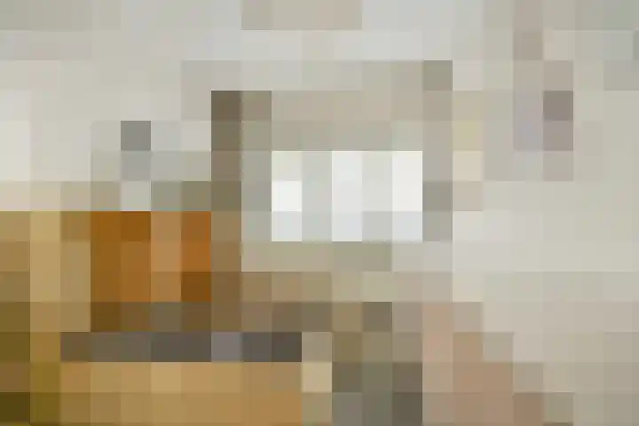 Javastraat 174 1 Amsterdam thumbnail 23