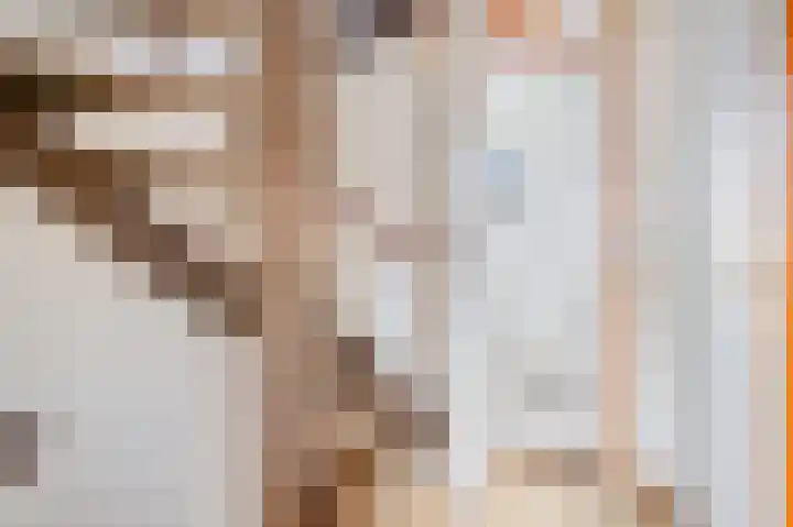 Javastraat 18 Zwolle thumbnail 13