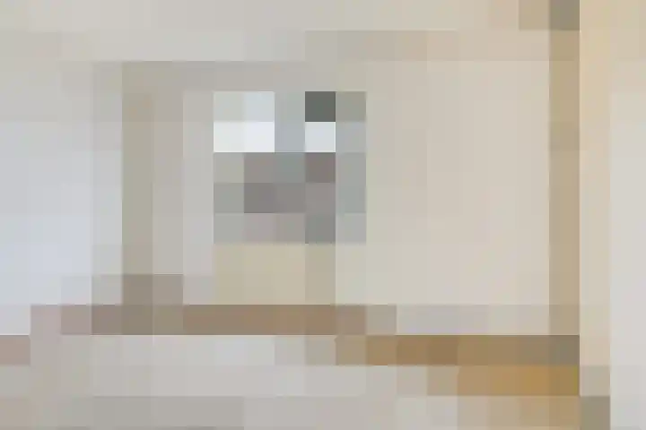 Javastraat 18 Zwolle thumbnail 18