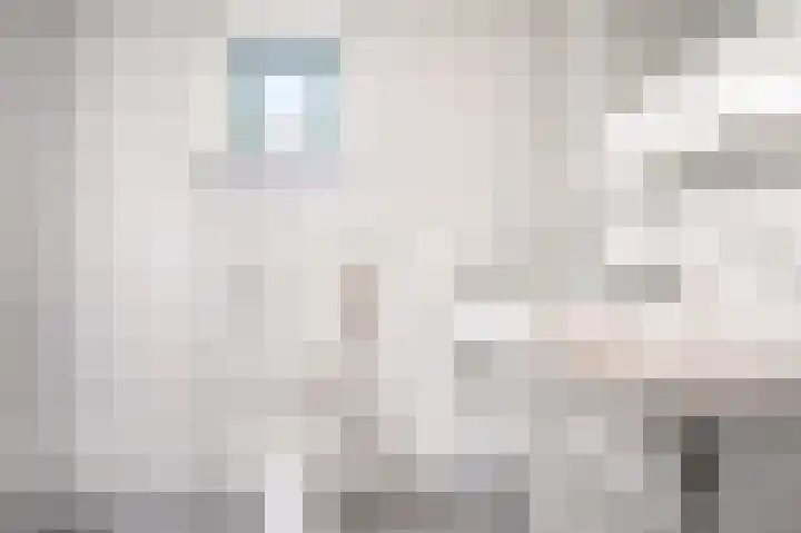 Javastraat 18 Zwolle thumbnail 21