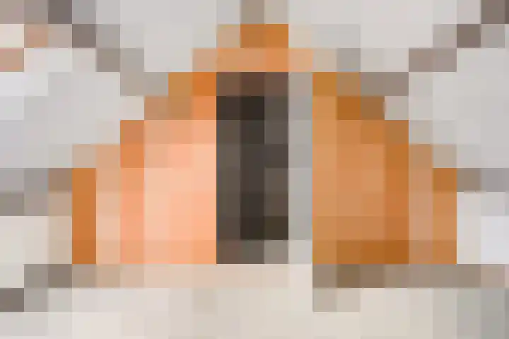 Javastraat 18 Zwolle thumbnail 25