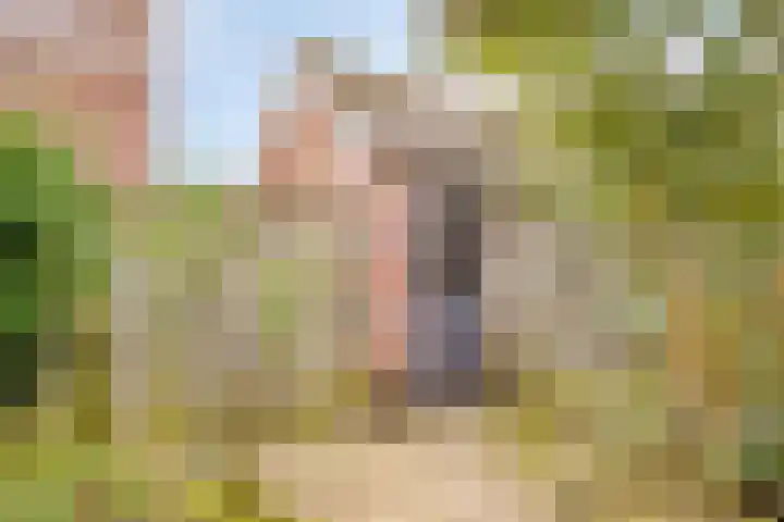 Javastraat 18 Zwolle thumbnail 28