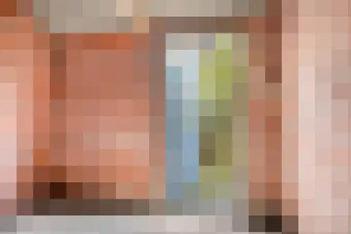 Javastraat 18 Zwolle thumbnail 29