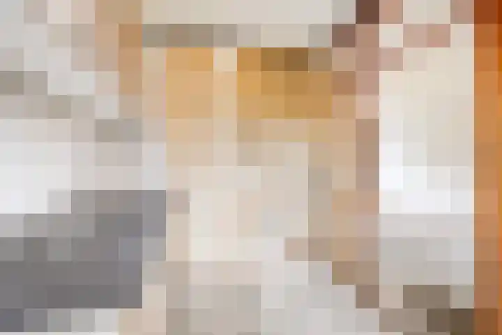 Javastraat 18 Zwolle thumbnail 8