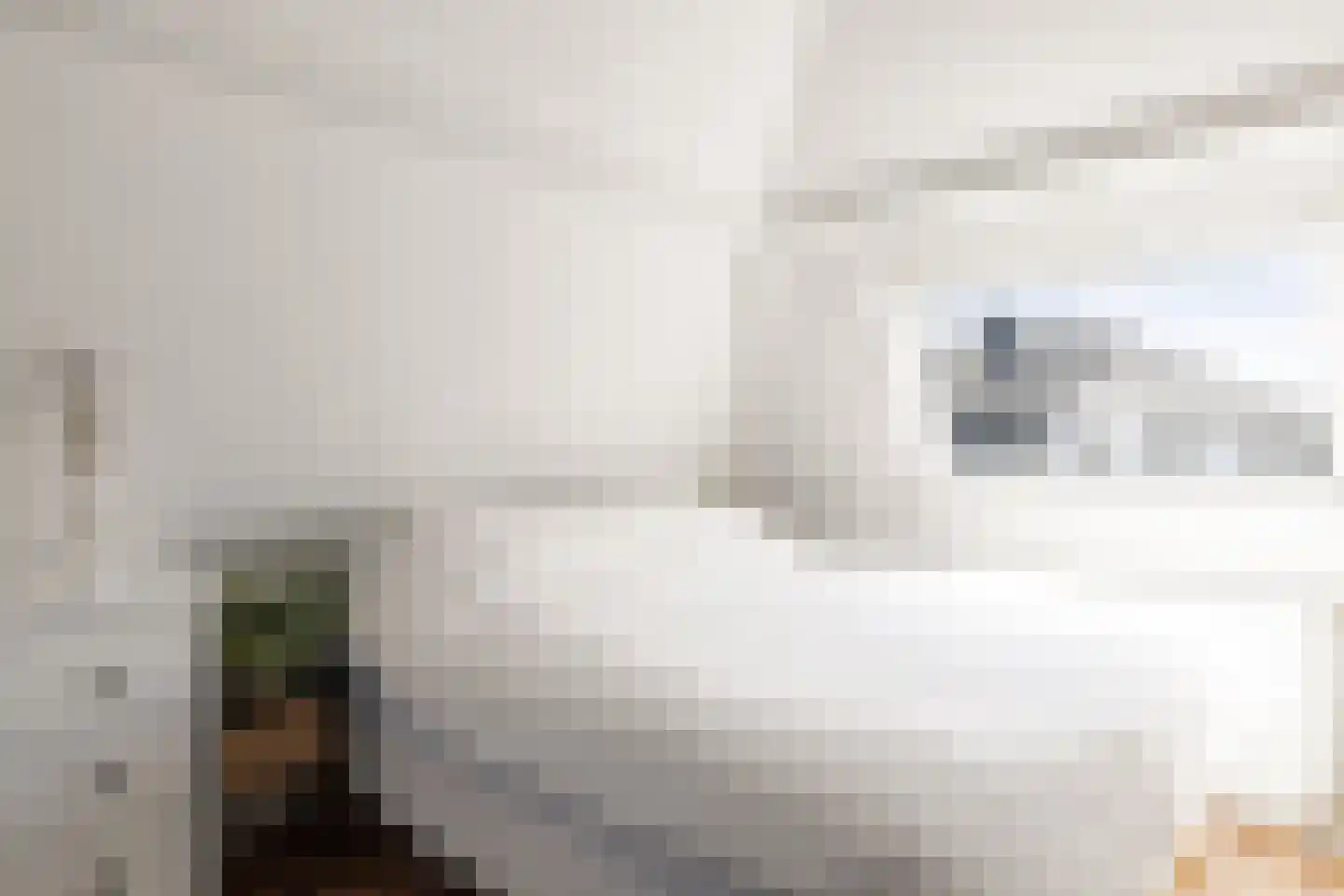 Javastraat 2 A 1 Utrecht thumbnail 12