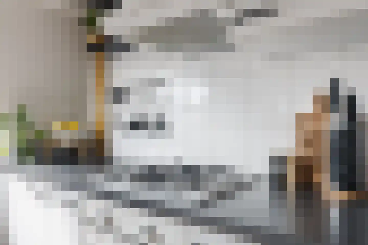 Javastraat 2 A 1 Utrecht thumbnail 20