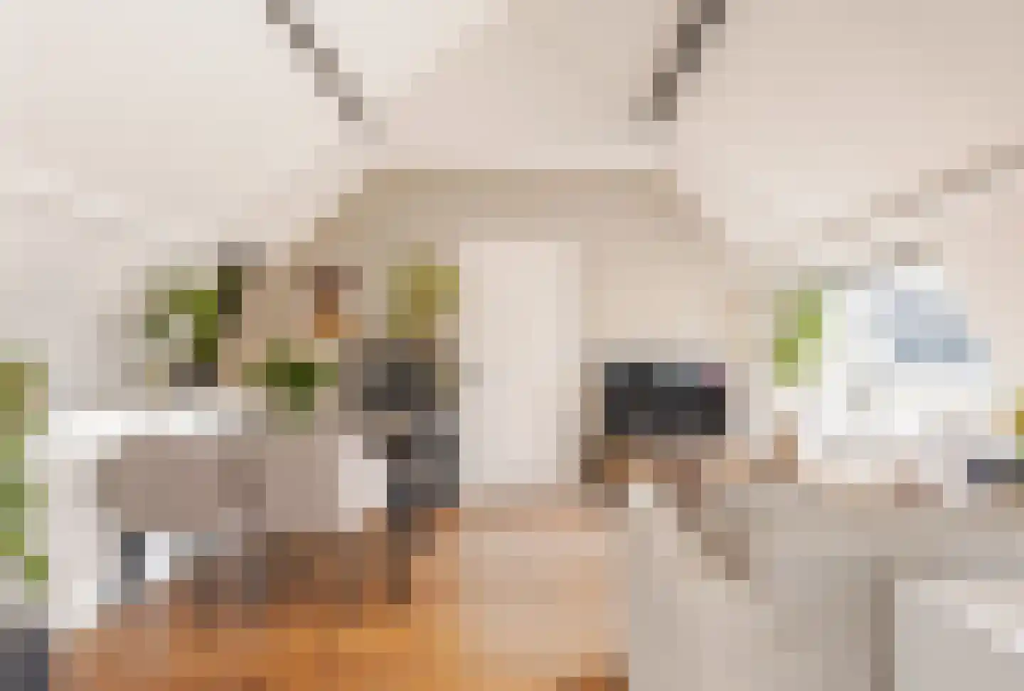 Javastraat 2 A 1 Utrecht thumbnail 9