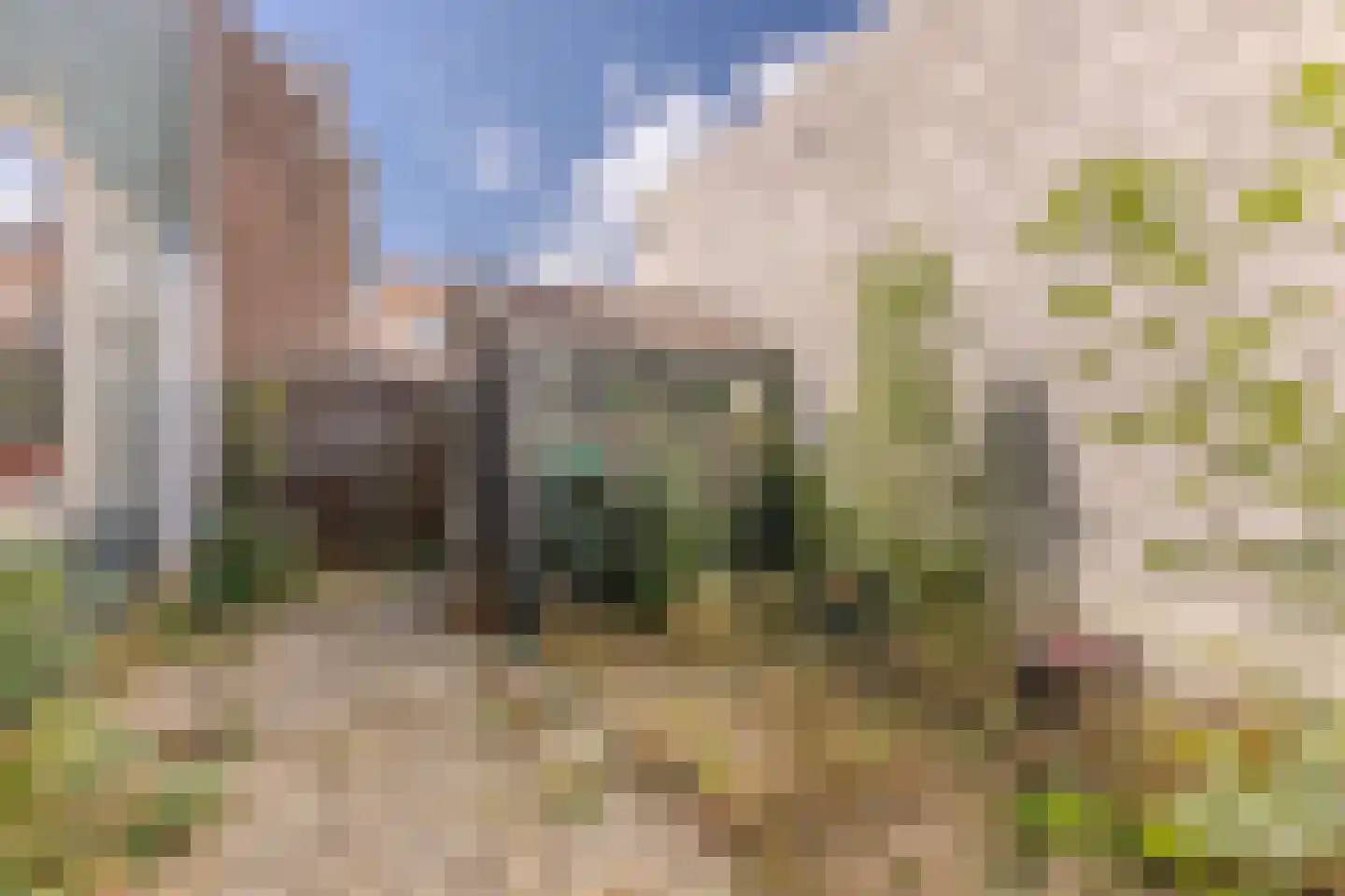Javastraat 2 Wormerveer thumbnail 6