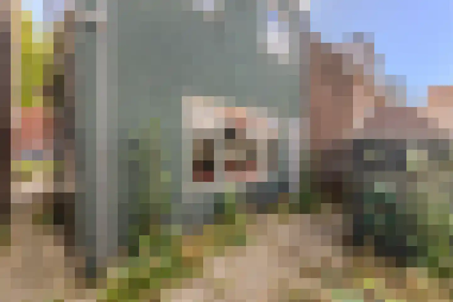 Javastraat 2 Wormerveer thumbnail 8
