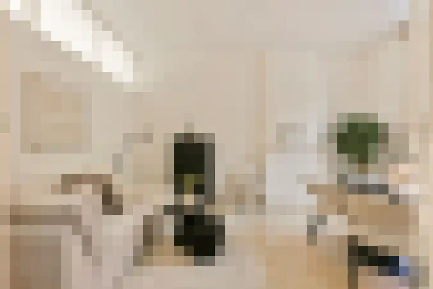 Javastraat 20 Utrecht thumbnail 12