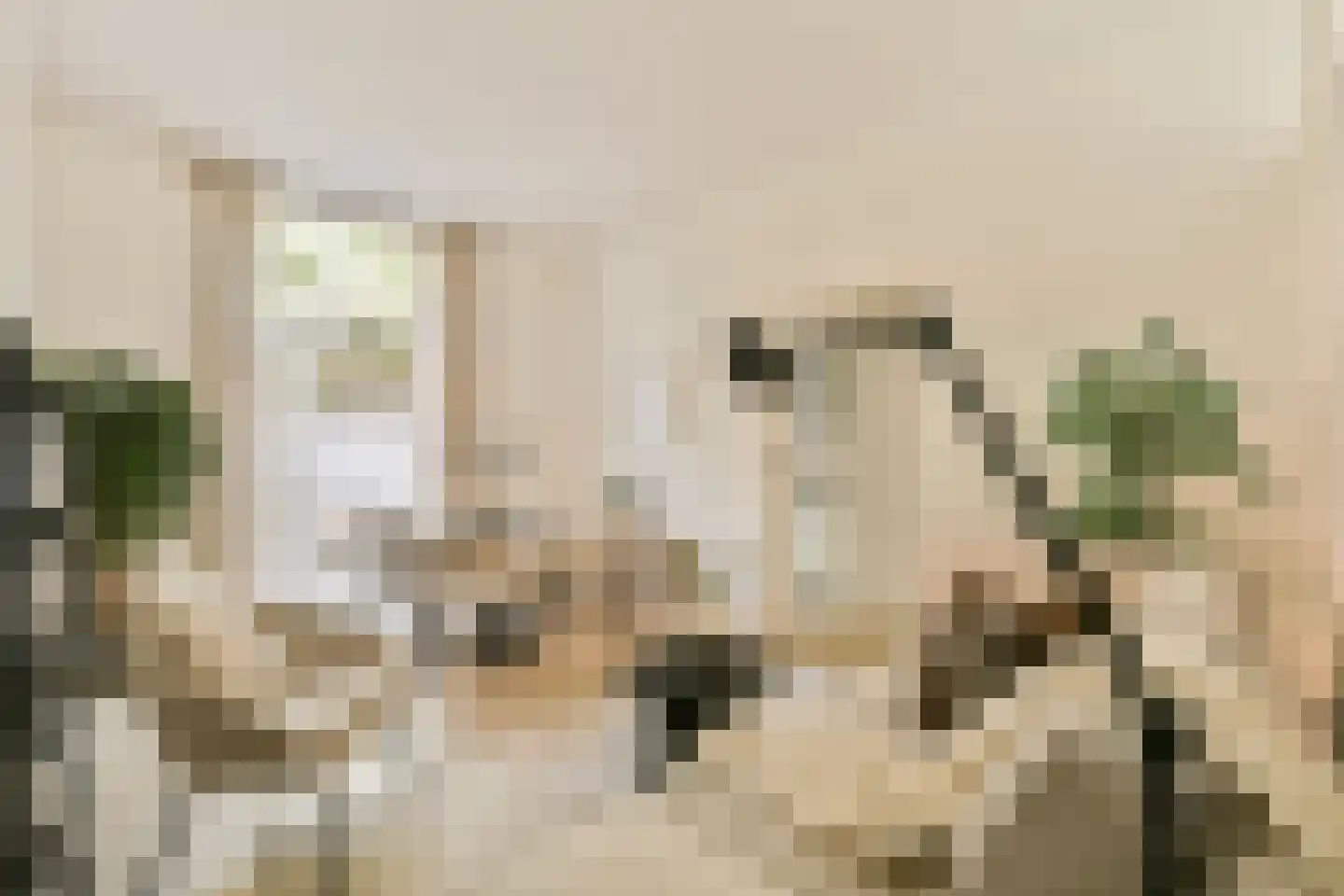 Javastraat 20 Utrecht thumbnail 14