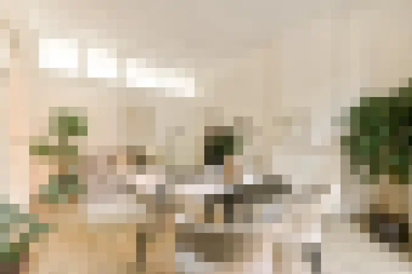 Javastraat 20 Utrecht thumbnail 16