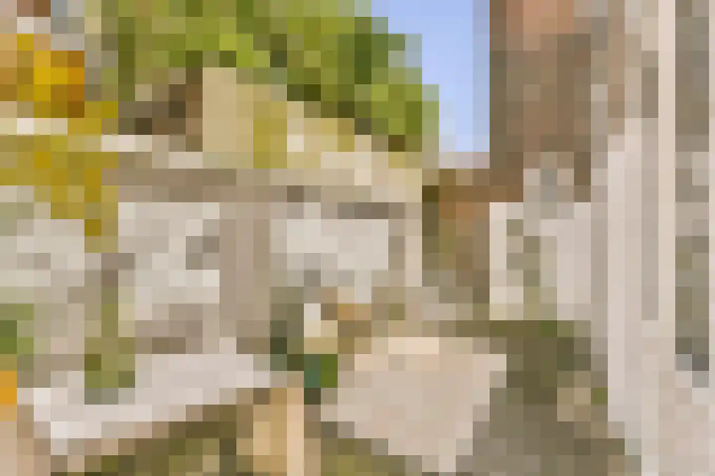 Javastraat 20 Utrecht thumbnail 22