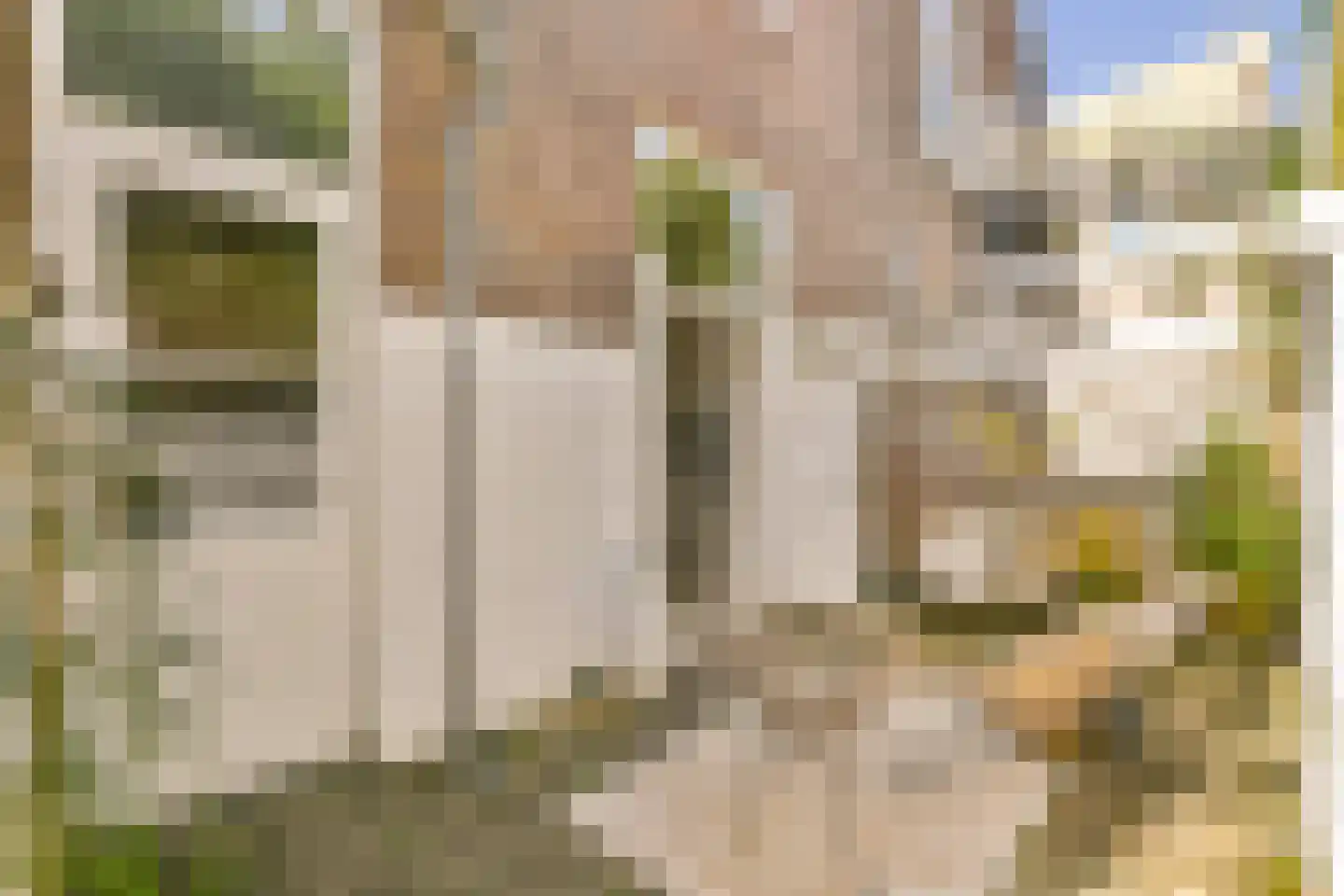 Javastraat 20 Utrecht thumbnail 23