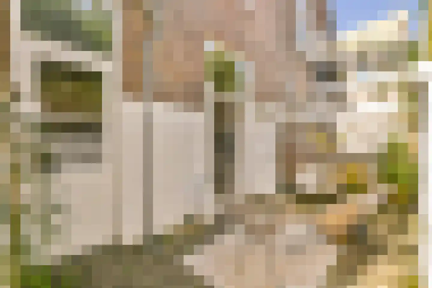 Javastraat 20 Utrecht thumbnail 23