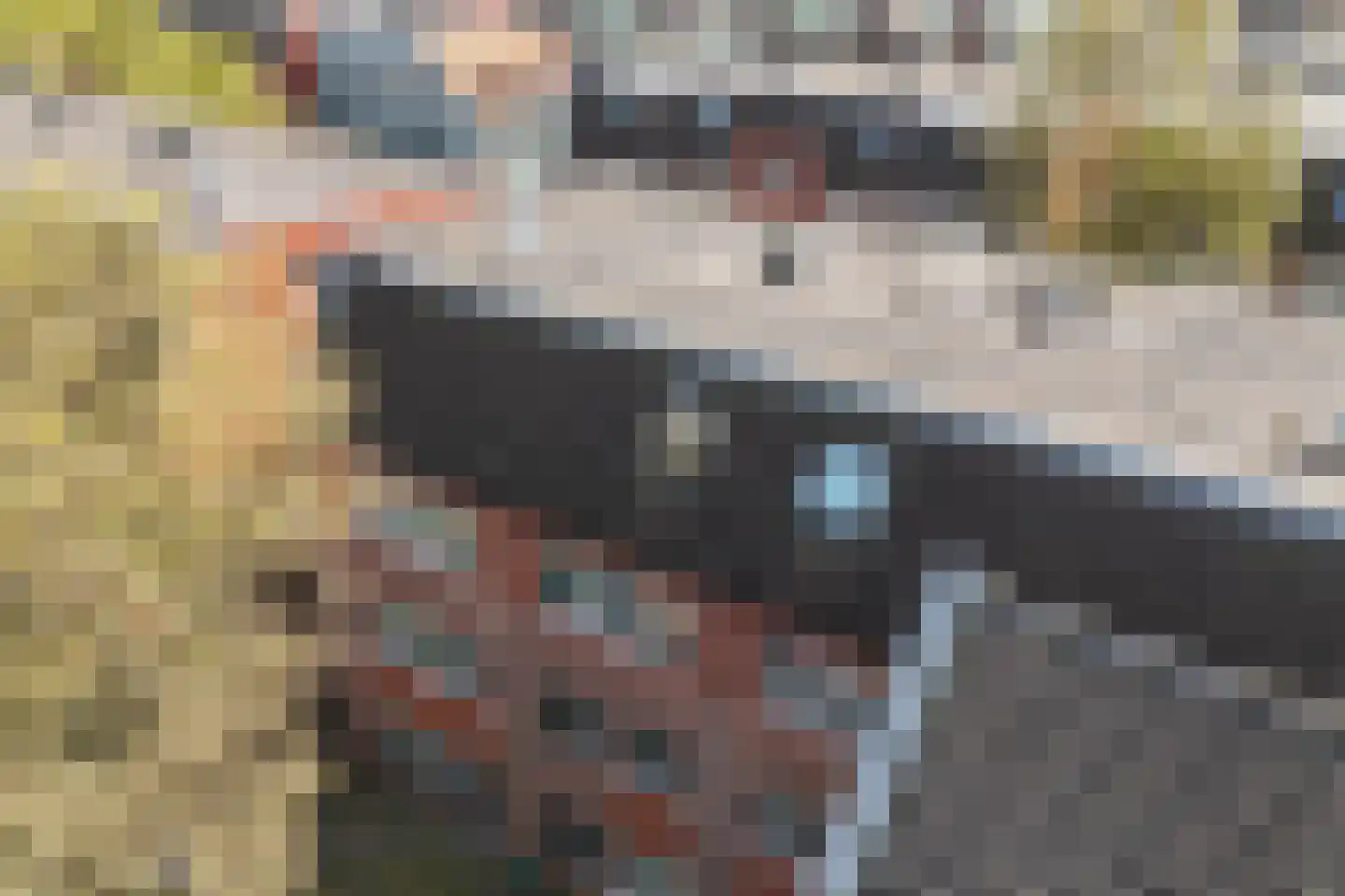 Javastraat 21 Arnhem thumbnail 5
