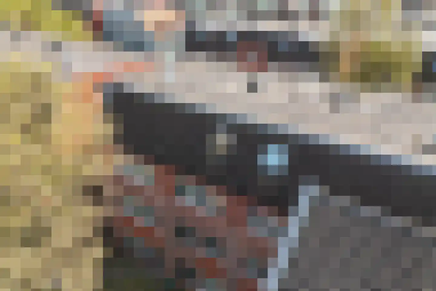 Javastraat 21 Arnhem thumbnail 5