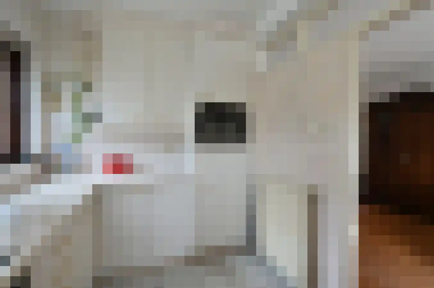 Javastraat 21 Baarn thumbnail 12