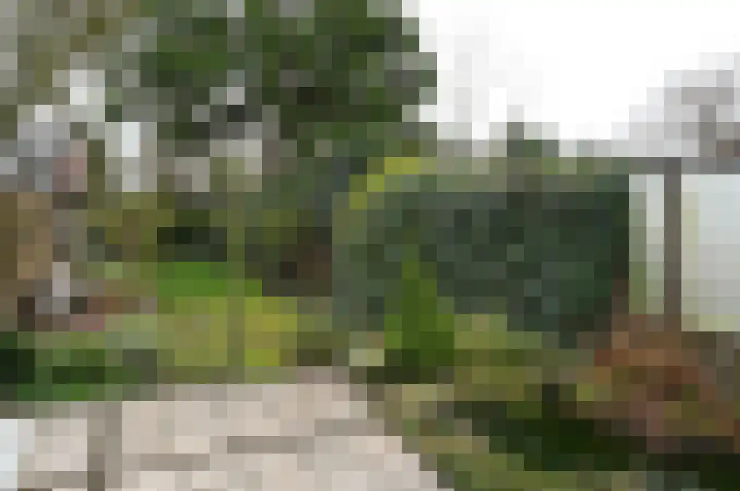 Javastraat 21 Baarn thumbnail 22