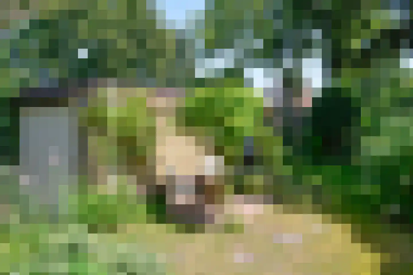 Javastraat 21 Baarn thumbnail 26